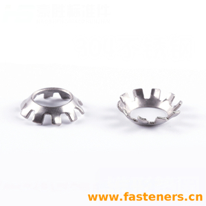 SAE J 2655 Countersunk 82° External Tooth-Lock Washers