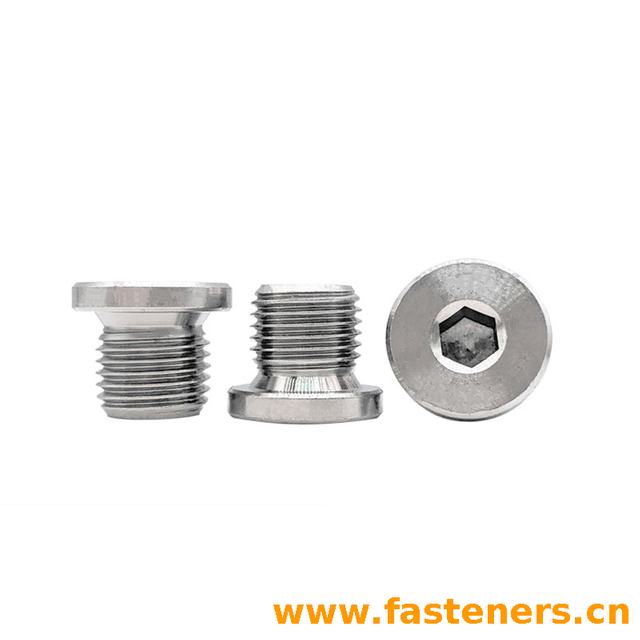 DIN908 Internal Drive Screw Plugs with Collar - Cylindrical Thread