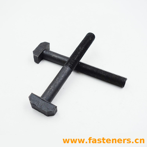 CNS4566 T-Head Bolts With Holes