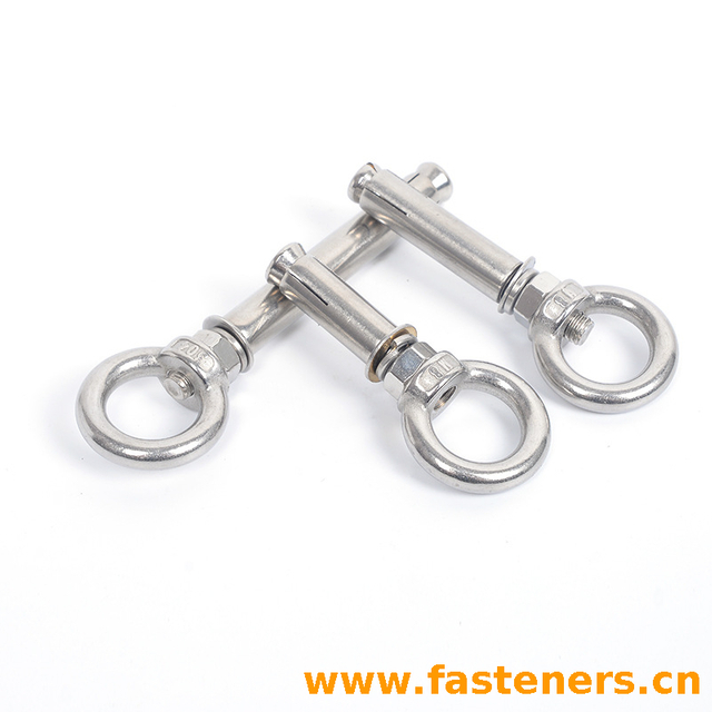 Stainless Steel 304 Expansion Sleeve Anchor Bolt with Lifting Eye Nuts