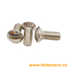CNS 4414 Slotted Raised Countersunk Head Screws