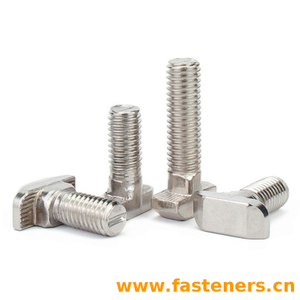 CNS4568 T-head Bolts With Double Nips