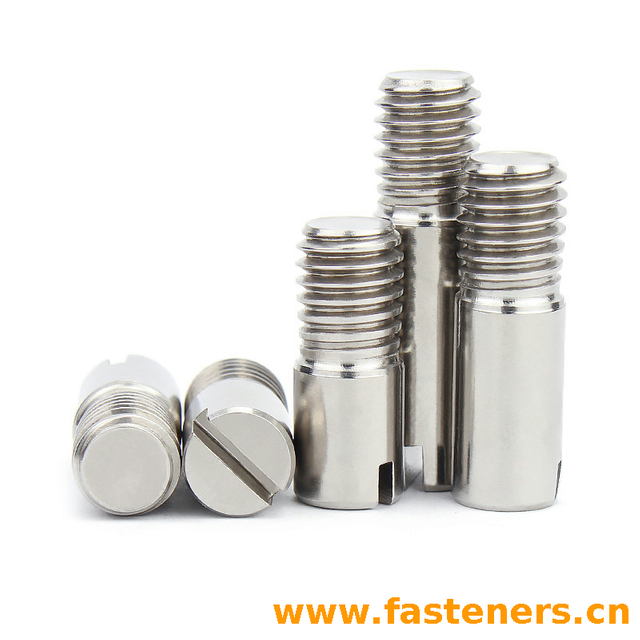 ISO2342 Slotted Headless Screws With Shank