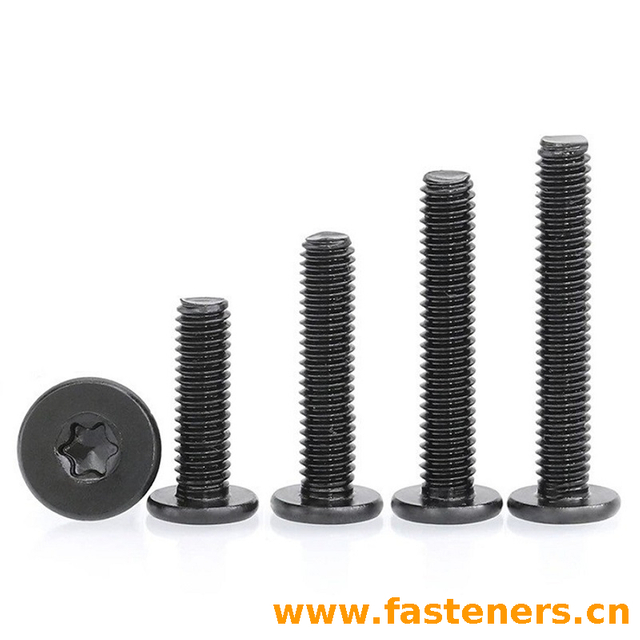 Stainless Steel 304 Black Low Profile Star Wafer Thin Head Machine Torx Screws