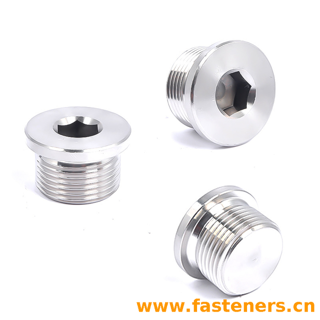 ISO 6149 (-4) (PLIH) Internal Hex Port Plug