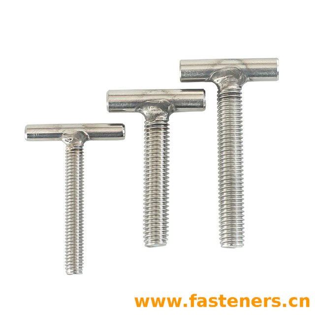 Stainless Steel T-shaped Screw,T Bolt