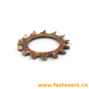 DIN 6797 (A) Toothed Lock Washers—Type A,with External Teeth