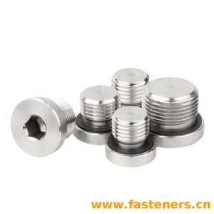 F 3082 (SHR-VSHL B1) Locking Screws with Collar And NBR Seal