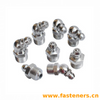 DIN71412 Lubricating Nipples Cone Type Stainless Steel 304