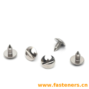 BS4174 Slotted Mushroom Head Self-Tapping Screws