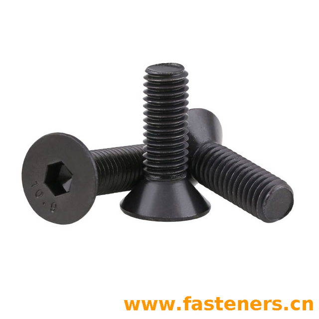 CNS4558 Hexagon Socket Countersunk Head Screws
