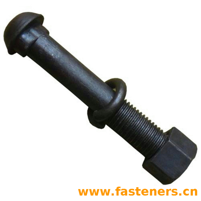 BS325 Black Cup Oval Neck Bolts