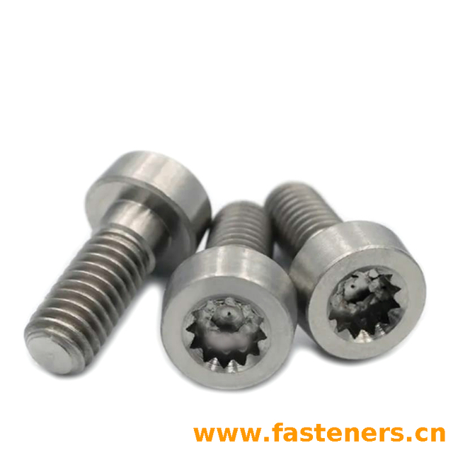 DIN 34821 Cheese Head Screws With 12 Point Socket