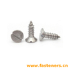 DIN7972 Slotted Countersunkhead Tapping Screws