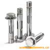  304 Stainless Steel Hex Head Sleeve Expansion Anchor Bolts,With Long Holes