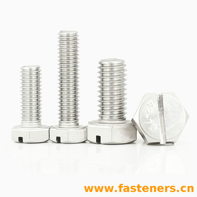 NF E 25-137 Slotted Hexagon Head Screws