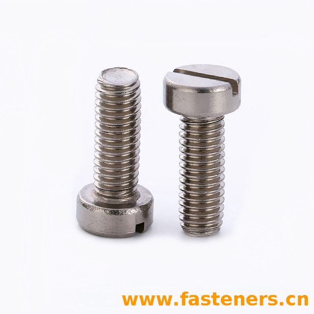 DIN84 Slotted Cheese Head Screws