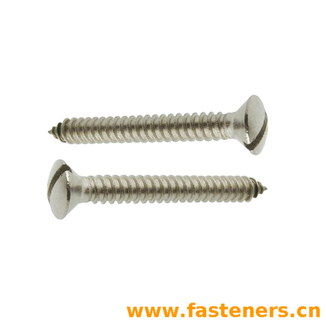 BS4174 80°Slotted Raised Countersunk Head Tapping Screws