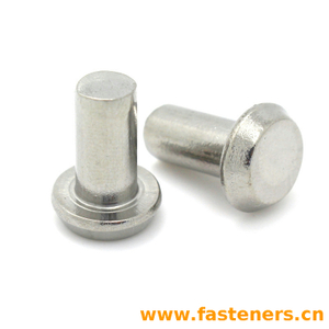 JIS B1214 Cheese Head Rivets