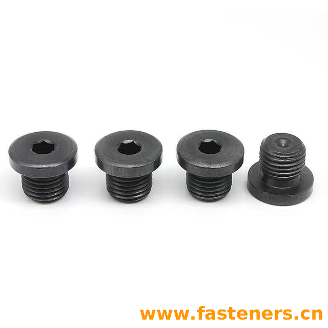 JIS D 2101 (2C) Automotive Parts - Type 2C Screw Plug